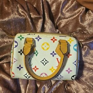 Multicolor Women's Bag